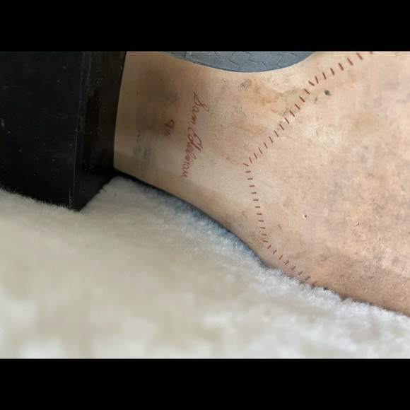 Sam Edelman Grey-Blue Snake Booties - Picture 7 of 8